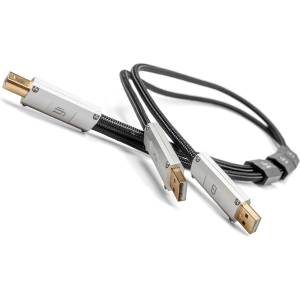 iFi Audio Кабел iFi Gemini - 0.7м (5081313801077) - vsystem