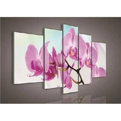 Obraz na plátně orchidej 124S4A, rozměr 170 x 100 cm, IMPOL TRADE