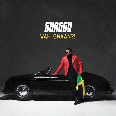 Shaggy - Wah gwaan?! - CD