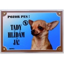 Dafiko Tabulka Čivava