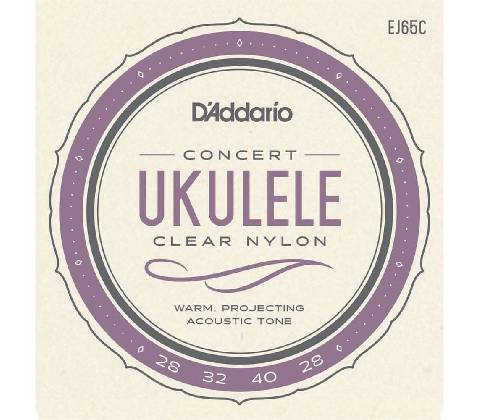 D'Addario EJ65C