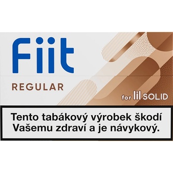 Fiit Regular Deep Q