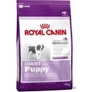 Granule pre psov Royal Canin Giant Puppy 2 x 15 kg