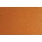 Fabriano Картон Colore, 70 x 100 cm, 140 g/m2, № 223, светлокафяв (43303223/100_AVANA)