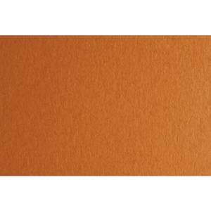 Fabriano Картон Colore, 70 x 100 cm, 140 g/m2, № 223, светлокафяв (43303223/100_AVANA)