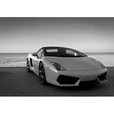 Postershop Fototapeta vliesováČernobílé Lamborghini, rozměry 254x184 cm