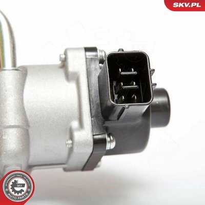 AGR-Ventil ESEN SKV 14SKV047