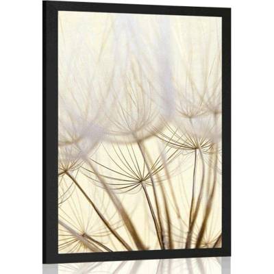 Plakát pampelišková semena - 20x30 silver