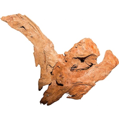 Macenauer Mangroven-Wurzel malý 15-25 cm – Zboží Dáma