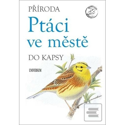 Ptáci ve městě