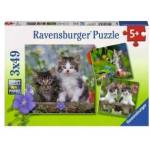 Ravensburger Tabby kittens puzzle 3x49pcs