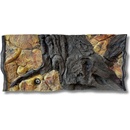 ATG pozadie Amazon 80 x 40 cm