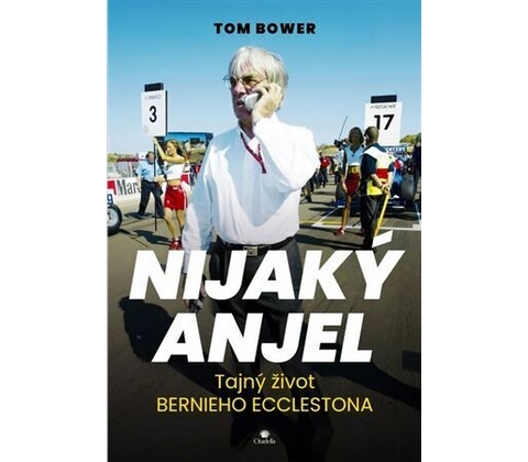Nijaký anjel - Tom Bower