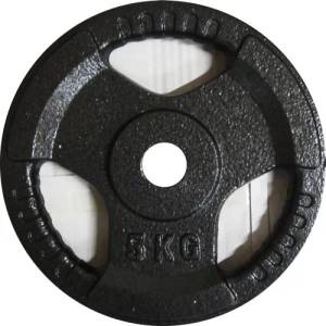 Vista fit Top-Sport Тежести фи 30 2x20кг. - чугунени (RPH-001-2x20)