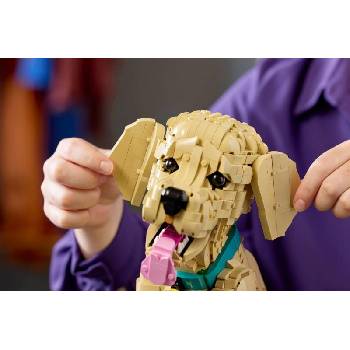 Image 1 of LEGO® ICONS™ - Golden Retriever Puppy (11384)