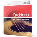 DAddario EJ17