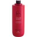 Lendan Color Addict šampon pro barvené vlasy 1000 ml