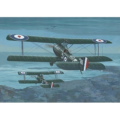 Roden Sopwith 1 1⁄2 Strutter Comic Fighter 1:48