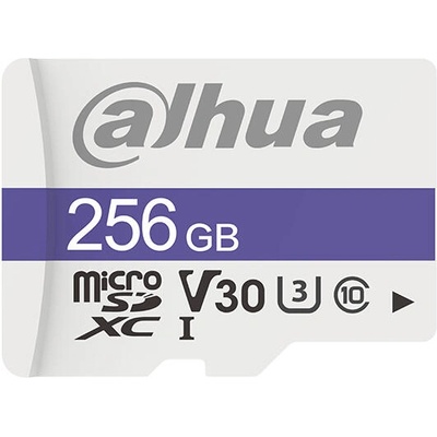 Dahua TF-C100 microSDHC 256GB (TF-C100/256GB)
