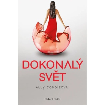 Matched 3: Dokonalý svět - Ally Condieová