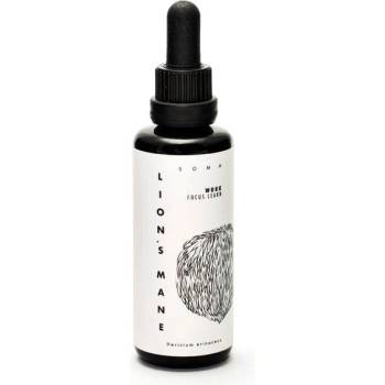 Kääpä Mushrooms Lion's Mane BIO tinktura 50 ml