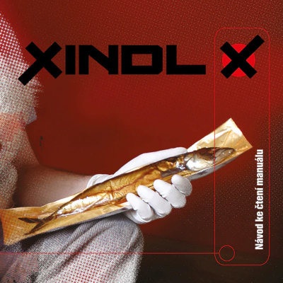 Xindl Návod ke čtení manuálu LP