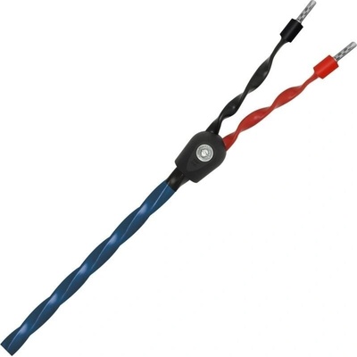 Wireworld Oasis 8
