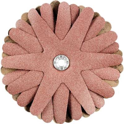 PFERD TOOLS 42732146 brúsne hviezdy Priemer 90 mm 10 ks