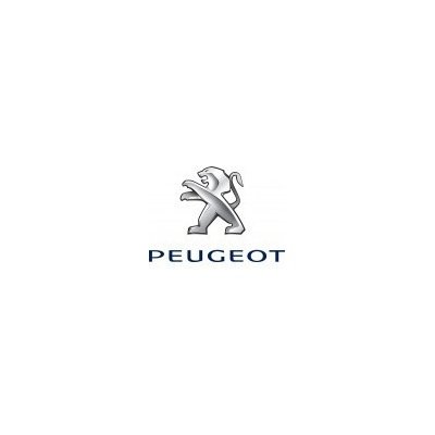 Peugeot nemetalická farba prelakovateľná 1000 ml, riedenie 1:1
