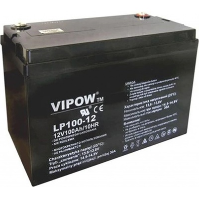 Vipow 12V 100Ah BAT0225