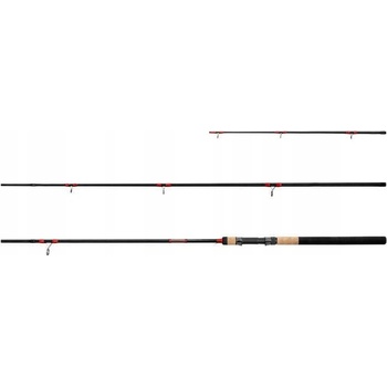 Delphin LEEDER Feeder + 2 špičky 3,3 m 100 g 3 diely