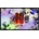 Apple Studio Display VESA MFEN4Z/A