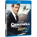 chobotnička BD
