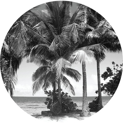 AG Design CR3309 Samolepicí vliesová fototapeta Monochromatic Palms rozměry 140 x 140 cm