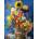 SunsOut - Puzzle Nene Thomas: Garden of Gold - 1 000 piese