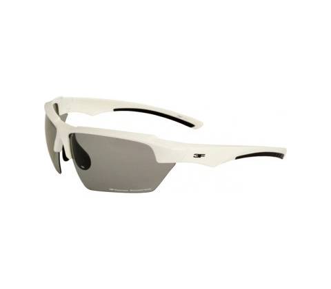 3F Vision Version 1707