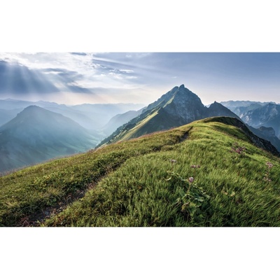 Komar Vliesová fototapeta Green Vein rozměry 400 x 250 cm