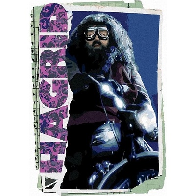 zuty Malování Podle Čísel Karta Hagrid Harry Potter 40 x 50 Cm Plátno