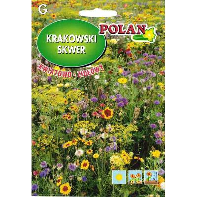 Zmes kvetov Krakovská kvetinovo-bylinná farba 20 g POLAN