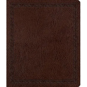 ESV Journaling Bible | Crossway Bibles (ISBN: 9781433502347)
