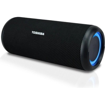 Toshiba TY-WSP201