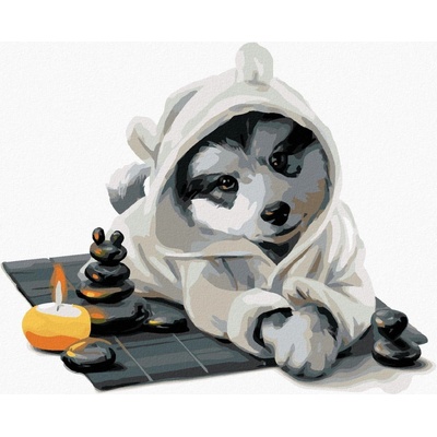 Malování podle čísel Husky relaxuje
