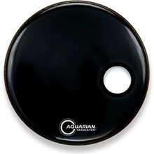Aquarian RSM22BK