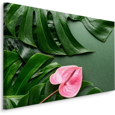 MyBestHome BOX Plátno Růžový Květ Na Pozadí Listů Monstera Varianta: 100x70