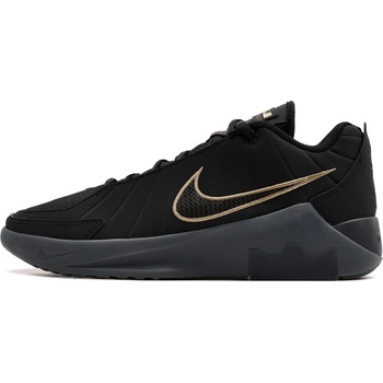 Nike Lebron Witness IX