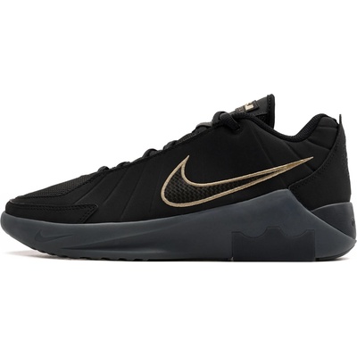 Nike Lebron Witness IX