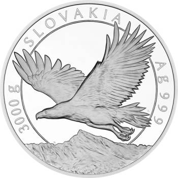 Česká mincovna Stříbrná tříkilogramová mince Orel proof 3000 g