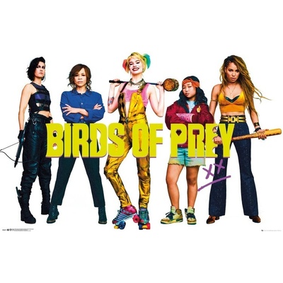 Plagát, Obraz - Birds of Prey: Podivuhodná premena Harley Quinn - Group, 91.5 × 61 cm