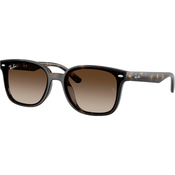 Ray-Ban RB4461D 710/13 (RB4461D 710/13)