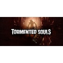 Hry na Nintendo Switch Tormented Souls
